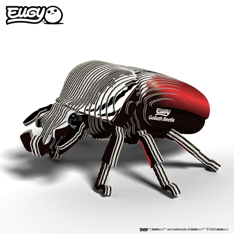 Beetle Goliath - Eugy