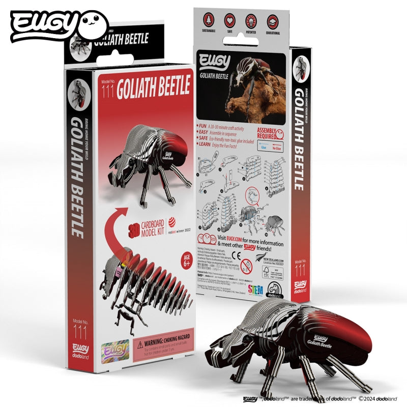 Beetle Goliath - Eugy