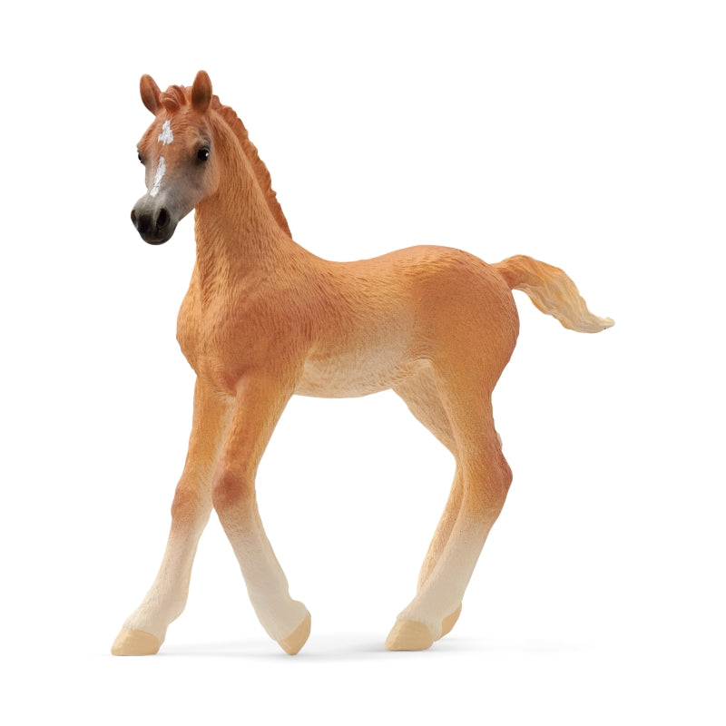 Arab Foal - Schleich