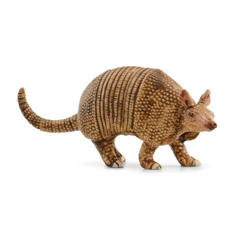 Armadillo - Schleich